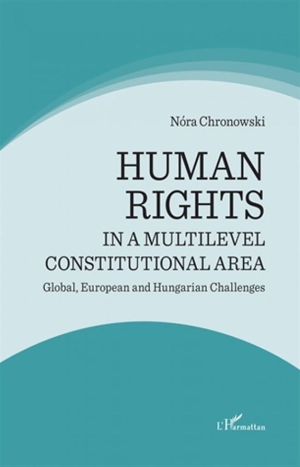 Human rights in a multilevel constitutional area